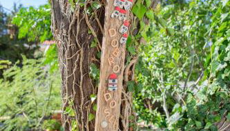 Apartments Yucca - Foto 5