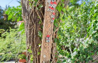 Apartments Yucca - Photo 5