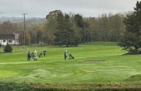 Mill Cottage Raceview - Foto 15