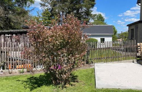 Ferienwohnungen Goldhahn - Foto 3