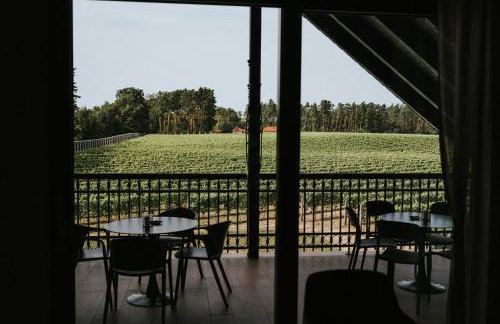 Apartamenty Winnica Milsko - Foto 9