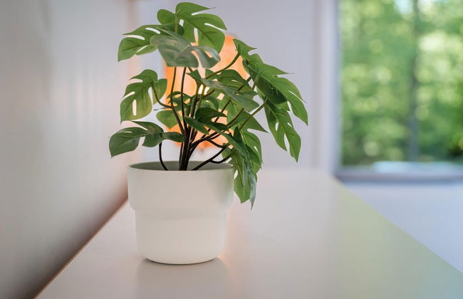 Le Coup de Coeur du Lac Sup Rieur Citq 313677 - Foto 25