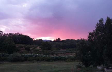 Casa Rural Colmenarejo - Foto 26