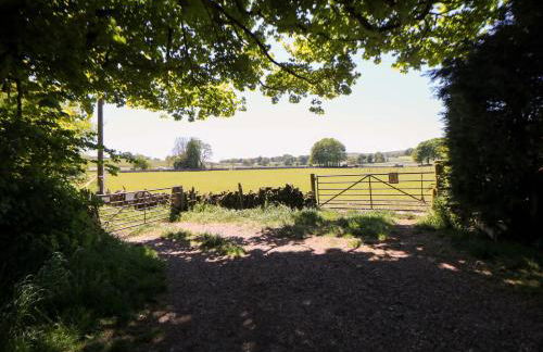 The Shavings - Photo 18