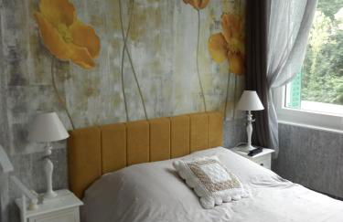 Studio Malou, cuisine, salle d'eau, terrasse amenagée - Foto 1