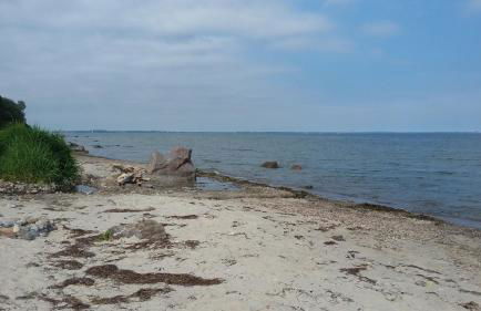 Strandhaus Florimar - Foto 20