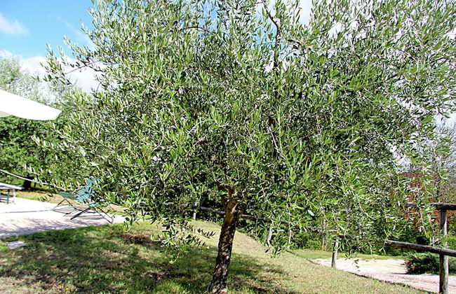 Belvilla by OYO Gelsomino - Foto 33