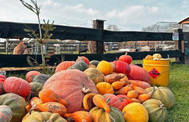 Leśny Zakątek Uroczysko -Apartamenty Nowoczesnej Stodoły - Foto 13