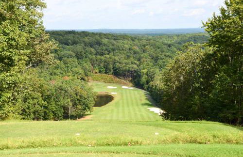 Serenity Now Big Canoe Mountain Home! - Foto 38