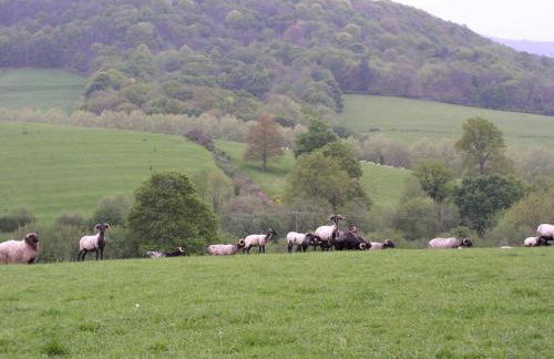 Entre mer et montagne - Foto 21