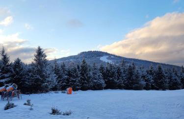 Bormio 27 Czarna Góra - Foto 12