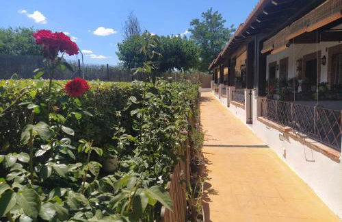 Casa Rural Alamillo - Foto 31