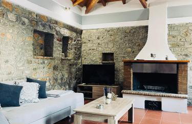 Citrus garden - Photo 1