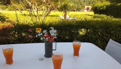 Gîte près de Sarlat avec jardin et salon de massages - Foto 5, Garden, Garden view