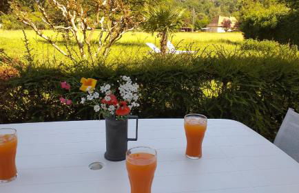 Gîte près de Sarlat avec jardin et salon de massages - Foto 5