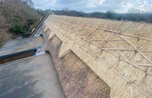 Little Woodside a beautiful New Forest self contained private luxury annexe - Foto 45