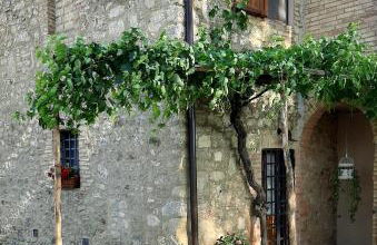 Casanova di Campriano - Foto 18