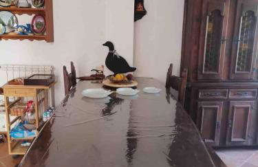 VillaMarzia - Foto 23