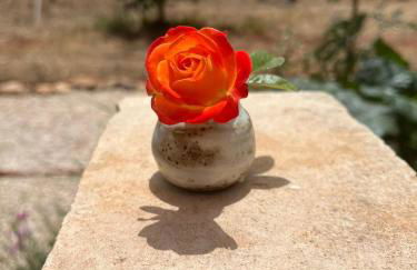 La Casa del Carrubo con Piscina condivisa in campagna vicino al mare - Canestanco 18 - Foto 28