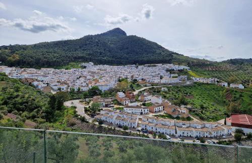 El Pitijopo - Foto 28