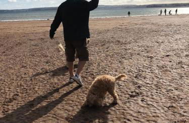 Lukes Lodge, where the fun begins, Woodland View, Hot Tub, dog friendly - Foto 63