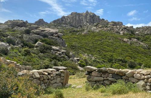 Contemporary Villa In Southern Corsica - Foto 33