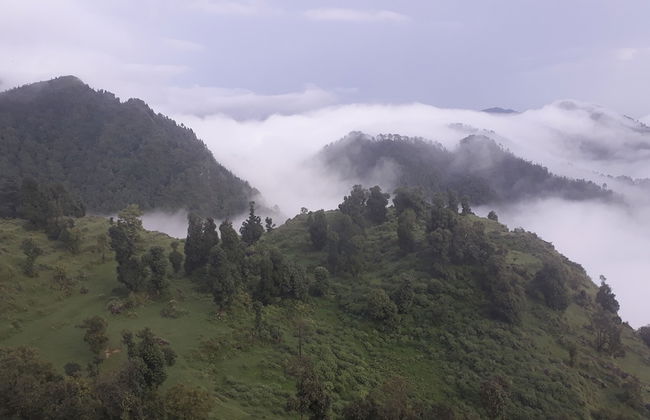 Veenu's Cottage - Foto 64