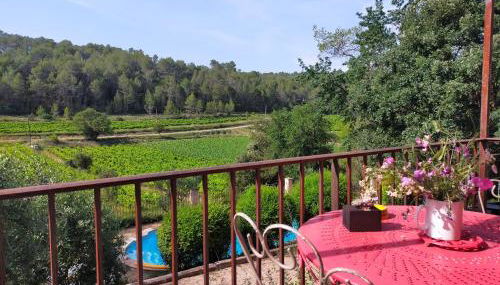 Le Figuier appart 2-3 pers en plein vignoble avec piscine privée à 30mn des gorgesdu Verdon et des plages - Foto 4, Garden view