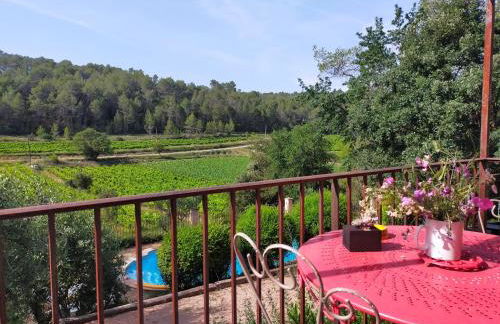 Le Figuier appart 2-3 pers en plein vignoble avec piscine privée à 30mn des gorgesdu Verdon et des plages - Foto 4