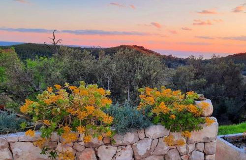 Retro apartment on island Mljet - Foto 63