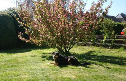 Wohnung "Orther Hafen" in Bannesdorf auf Fehmarn - Foto 20