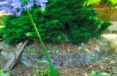 Cosy Loft by l'Arche de Jo - Foto 23