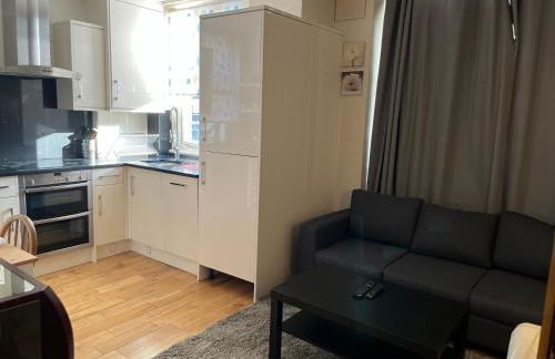 Stunning apartment in the heart of Central London - Foto 29