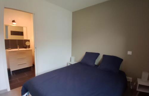 DOMAINE DES TISSEYS vue sur le Mont St Michel - Foto 28