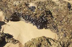 Casa da Praia - Foto 25