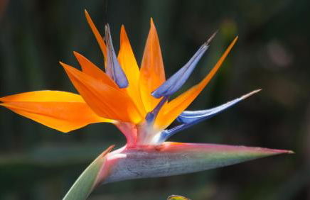 Villa Moreno with Large Private Pool - Foto 2