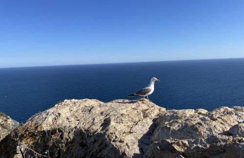 Mediterranean Escape with Garden - Foto 38