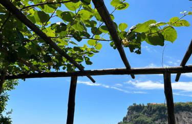 Agriturismo Orrido di Pino - Foto 65