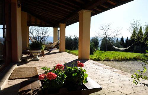 AGRIFOGLIO - Photo 18