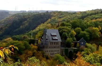 Ferienhof Mies - Foto 21