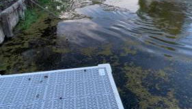 3 BR Channel House with Dock - Foto 3