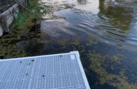 3 BR Channel House with Dock - Foto 3