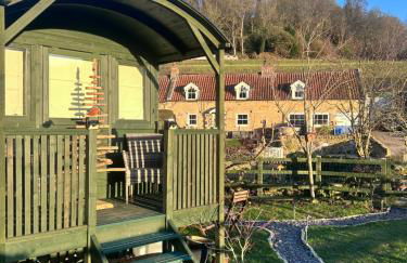 Shepherds hut, Eco, Log burner Hot tub NY moors - Foto 41