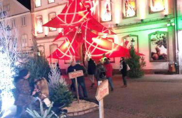 Home-sweet-home - Photo 35