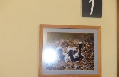 Casa Rural Peña Falcón - Foto 23