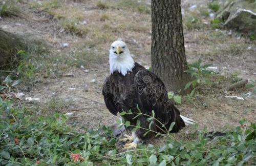 Stargazers' Retreat A Tiny Home on the Riverside - Photo 71