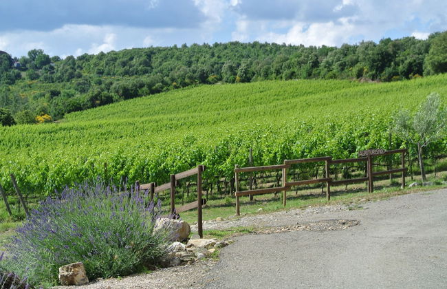 Antico Casale L'Impostino - Foto 23