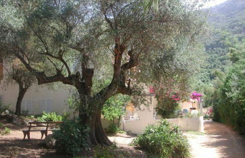 Residence Helios - Foto 21