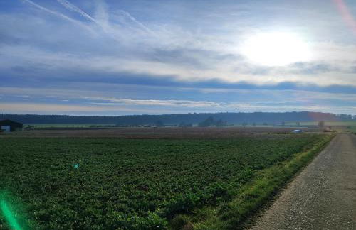 Ferienwohnung Belvie 2 - Foto 24