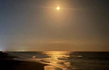 Ocean 21 - Waves & Wonders - Foto 3